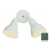 Trans Globe 6002 VG The Standard 2 Light Outdoor Bullet Moss 