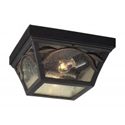 Outdoor Ceiling Lights